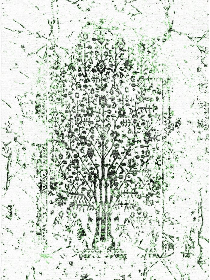TABRIZ 20 (Visualization)