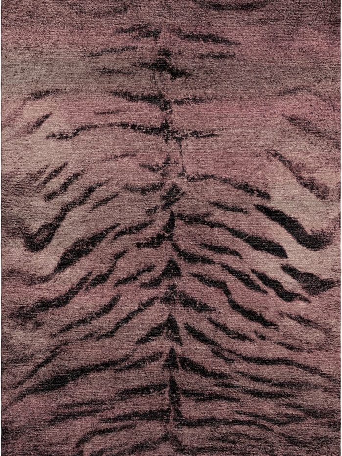 TIGER BACK (Visualization)